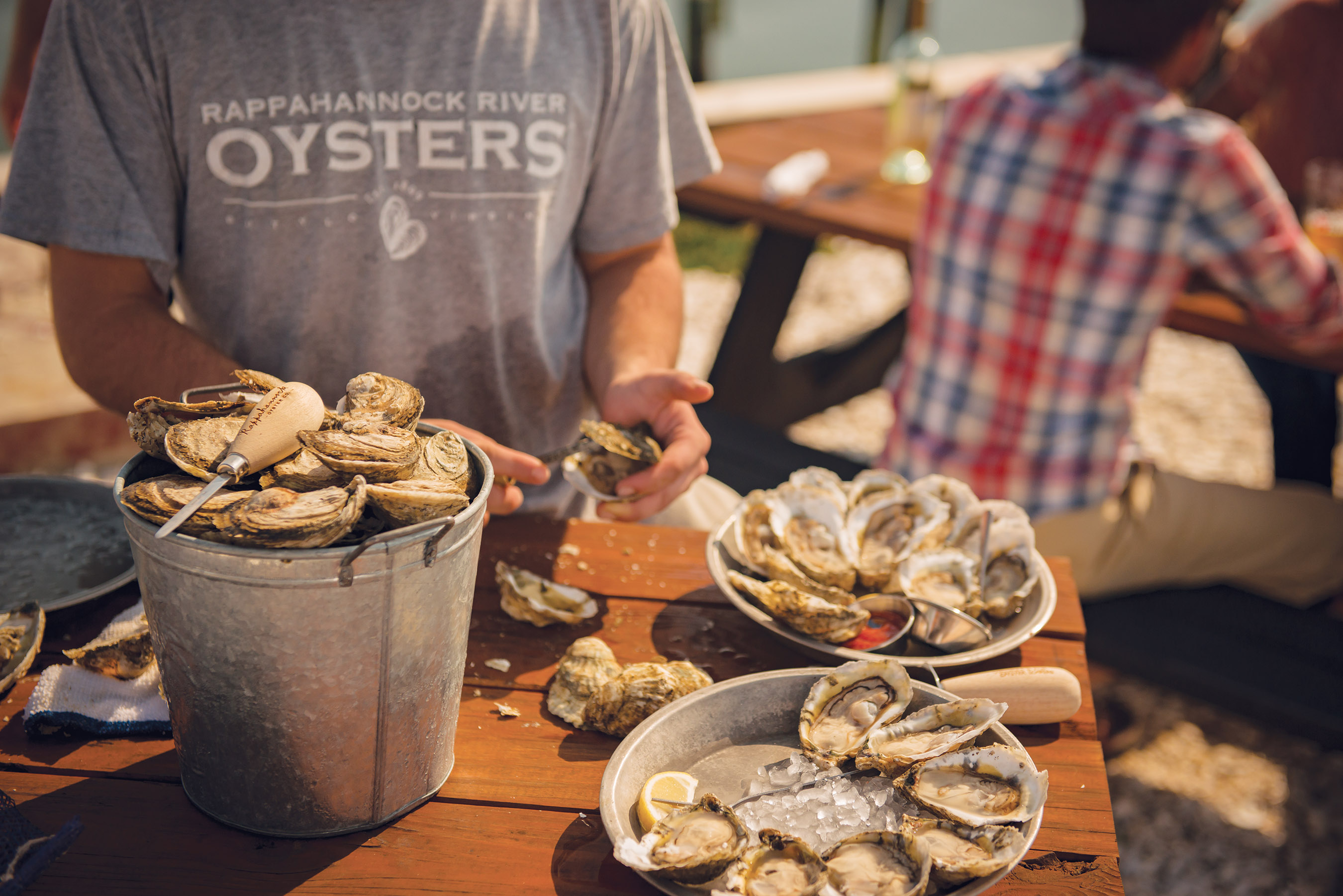 Rappahannock River Oyster Co., Middlesex County