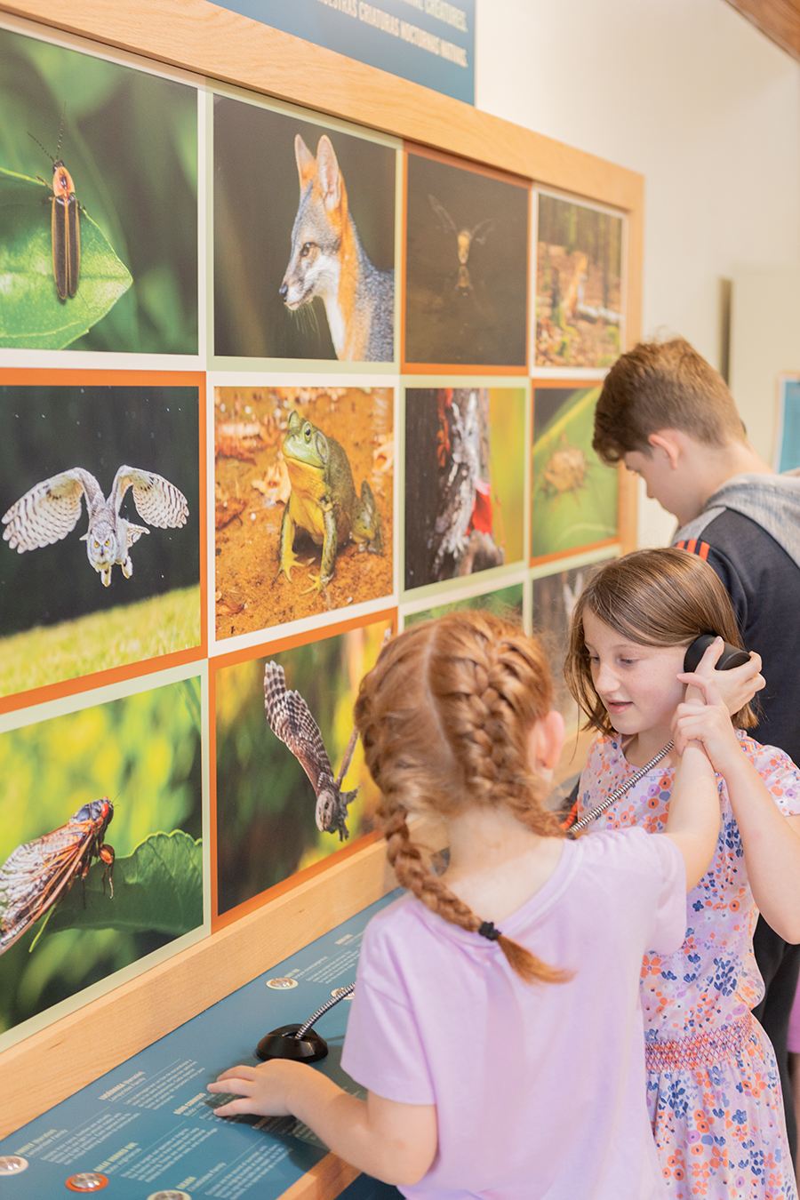 Three Lakes Park and Nature Center in Henrico County hired Riggs Ward to reimagine its exhibits that highlight the native ecosystems of the Richmond area