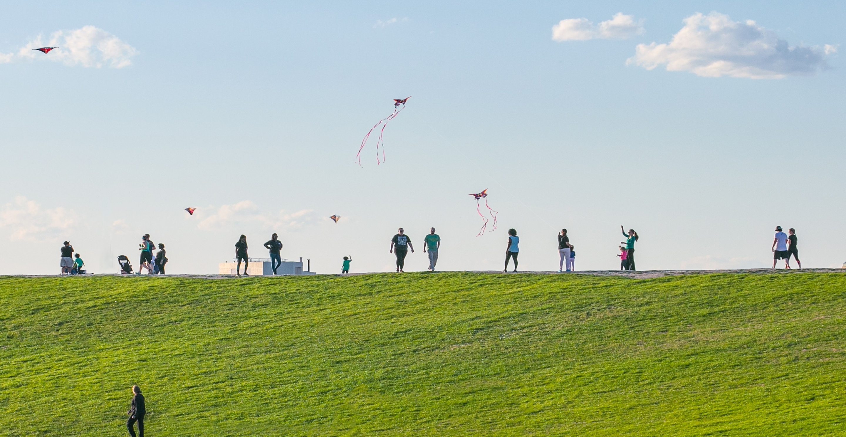 People flying kites on a grassy field