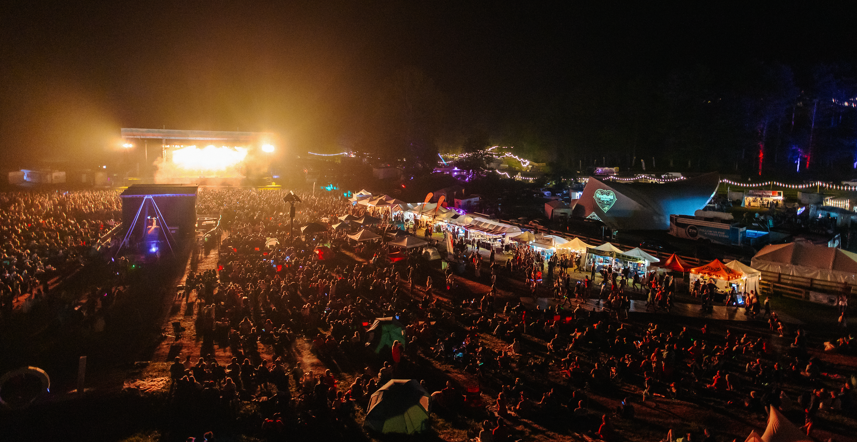 Crowded outdoor concert at night