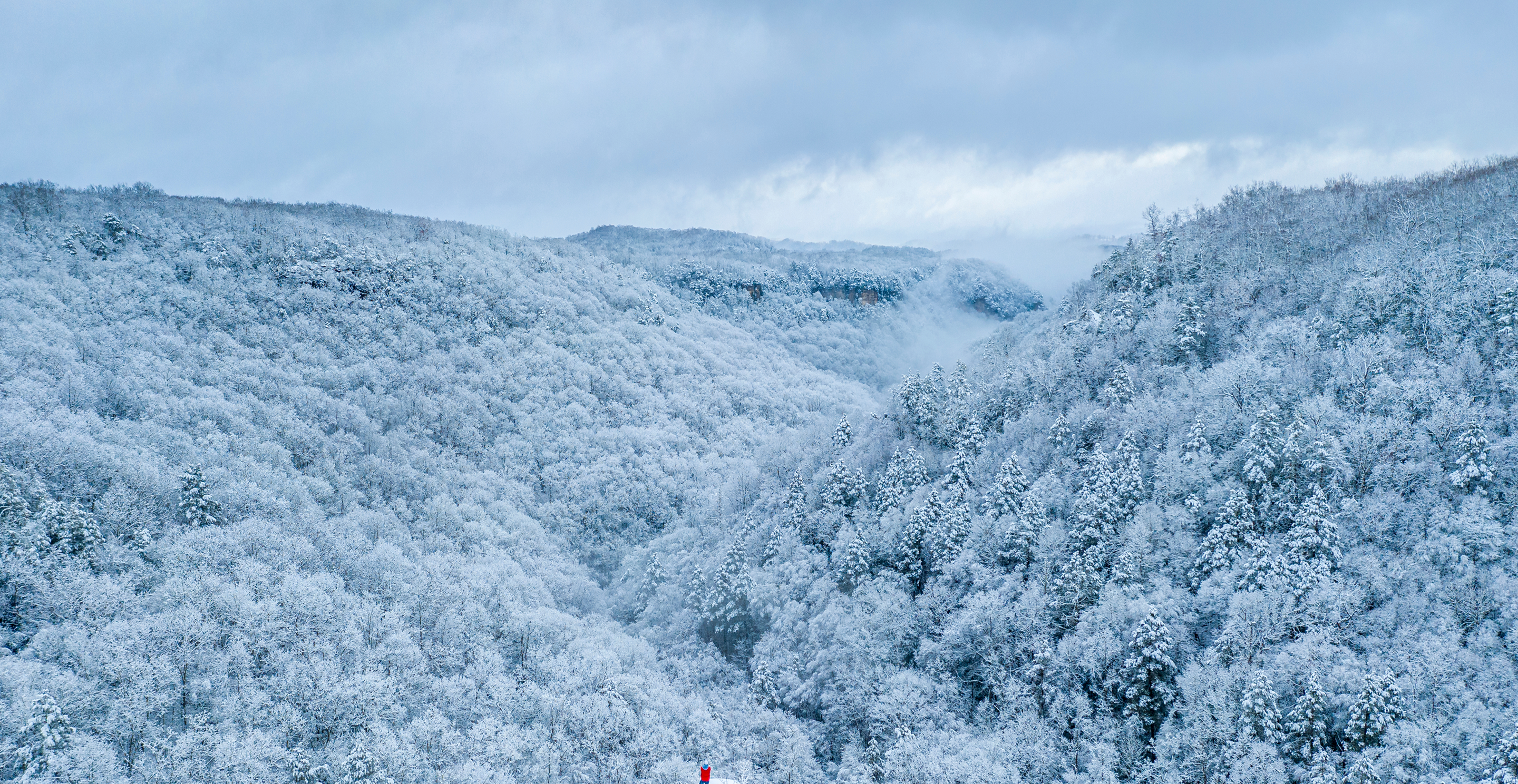 Snowy landscape in Scott County