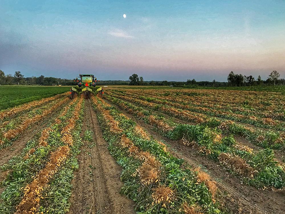 Farm land 