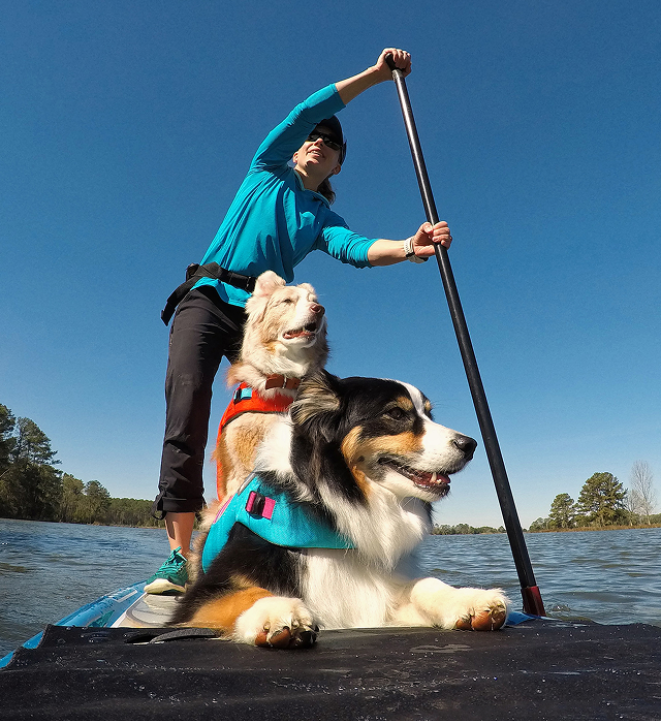 A woman riding a paddleboard with two dogs