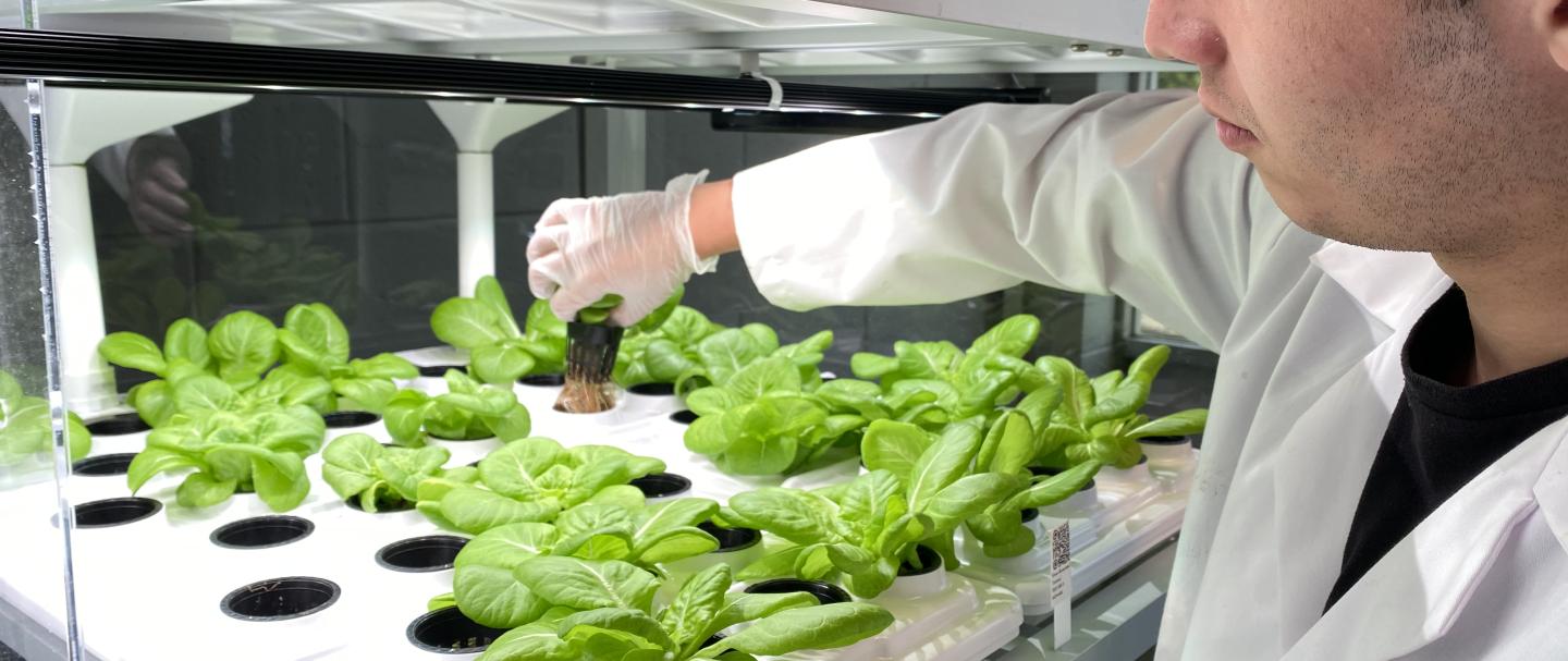 Babylon hydroponic farming system