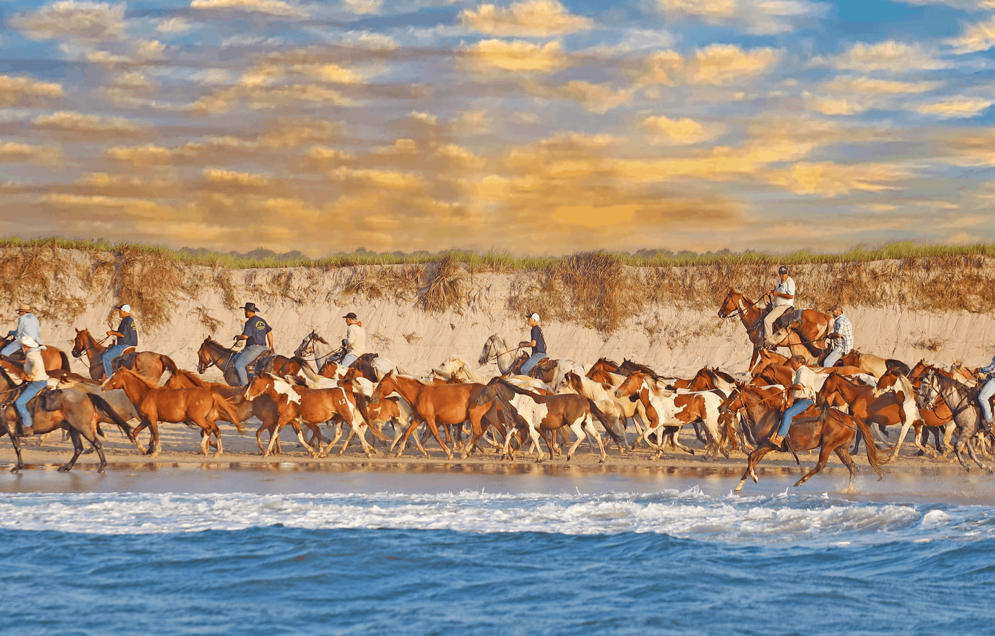 Eastern Shore