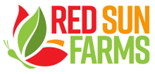 Red Sun Logo