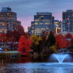 A rendering of three buildings, one with a Microsoft logo, with a lake and trees in front