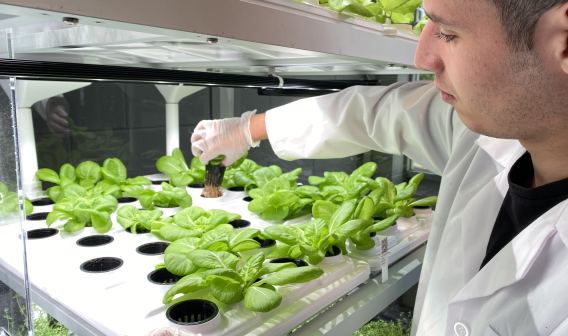 Babylon hydroponic farming system