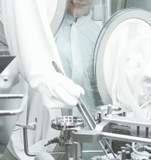 lab