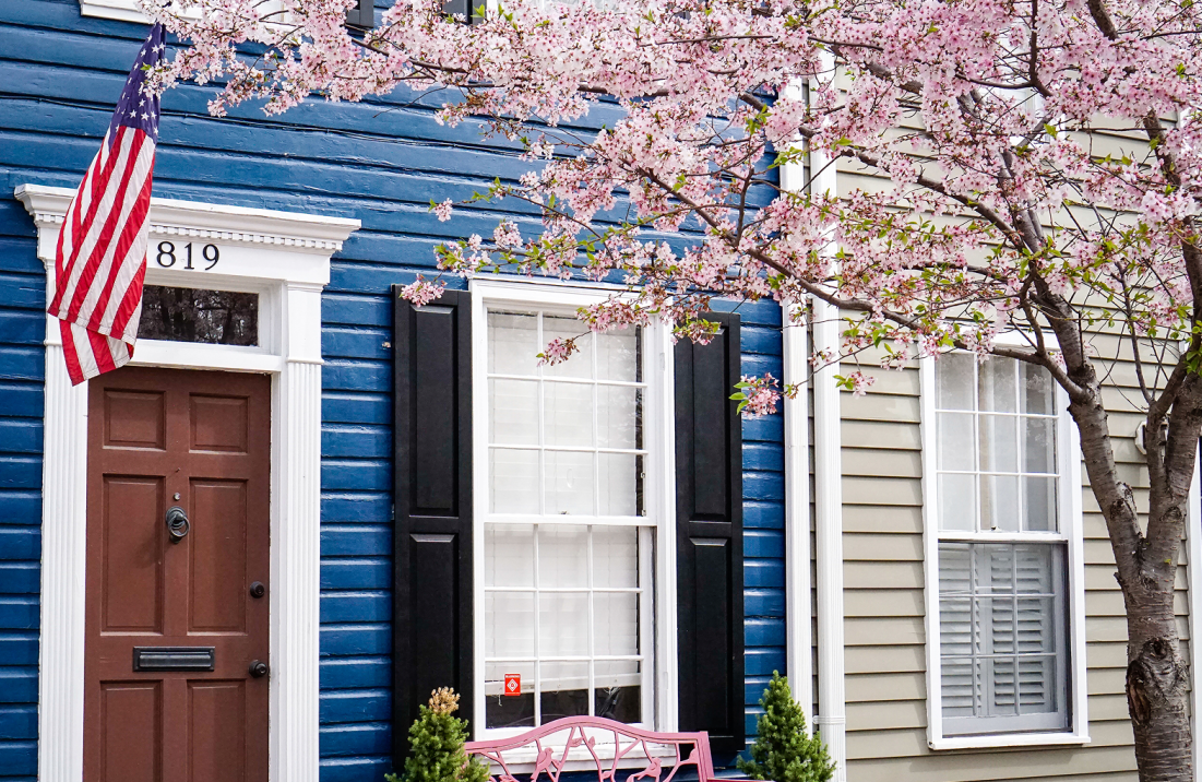 Cherry Blossoms in Old Town