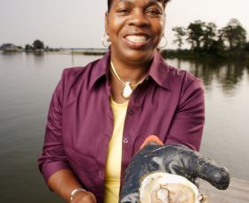 Oyster shucker