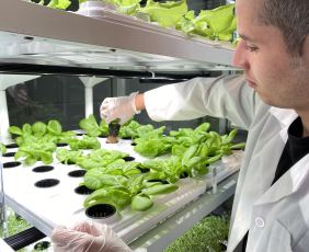 Babylon hydroponic farming system