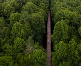 Virginia Creeper Trail VER Q3 2022